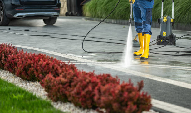  Shoreline, WA Pressure Washing Pros