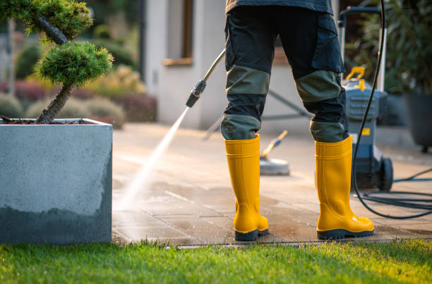 Best House Pressure Washing  in Shoreline, WA